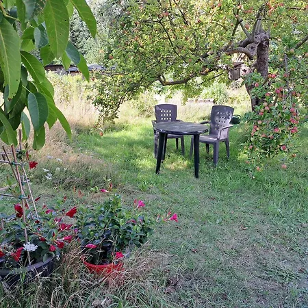Unmittelbar Am Stechlinsee - Radweg Gransee