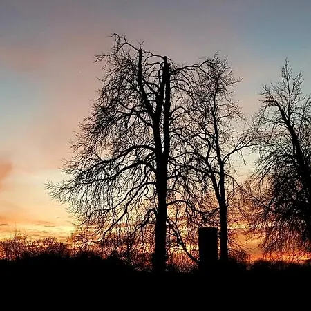 Unmittelbar Am Stechlinsee - Radweg