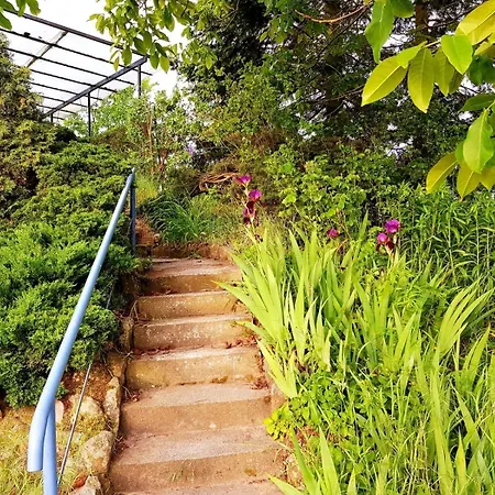 Unmittelbar Am Stechlinsee - Radweg * Gransee