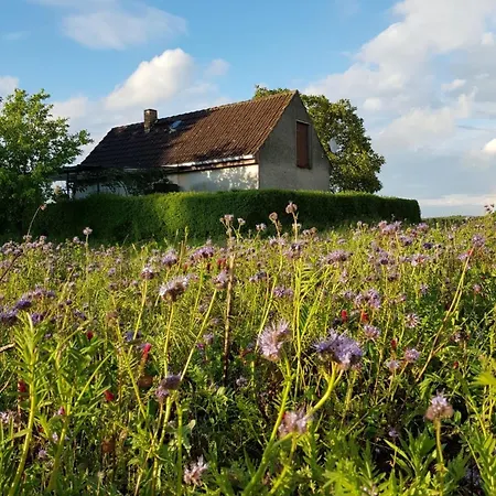 Holiday home Unmittelbar Am Stechlinsee - Radweg Gransee