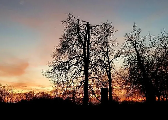 Unmittelbar Am Stechlinsee - Radweg