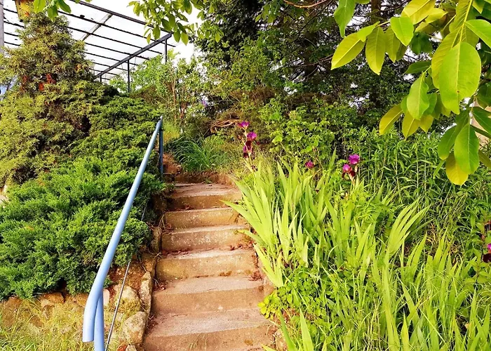 Unmittelbar Am Stechlinsee - Radweg * Gransee